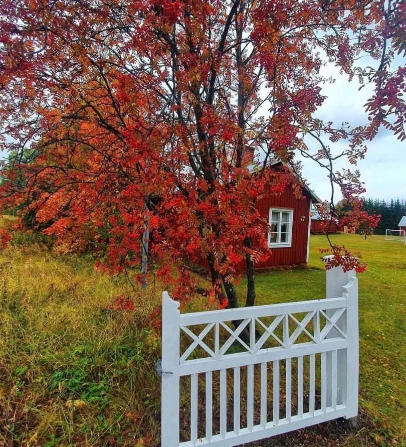 Guesthouse Ojebyn Екстер'єр фото